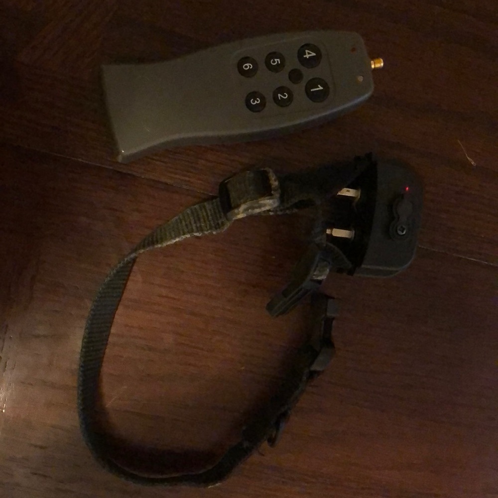 Small to medium size remote control shock collar